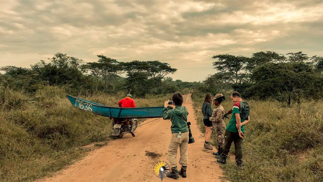 walking safari